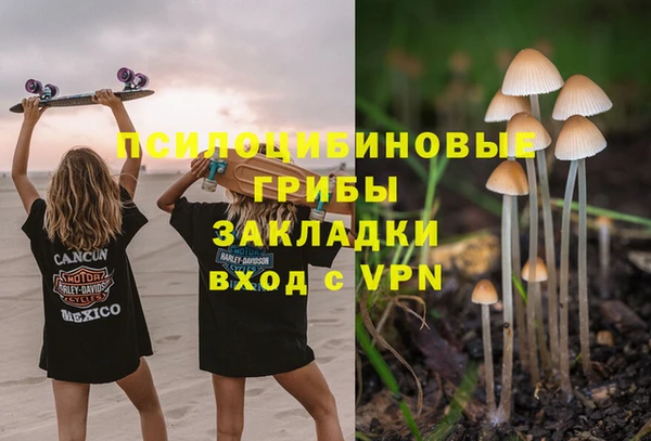 твердый Алексеевка
