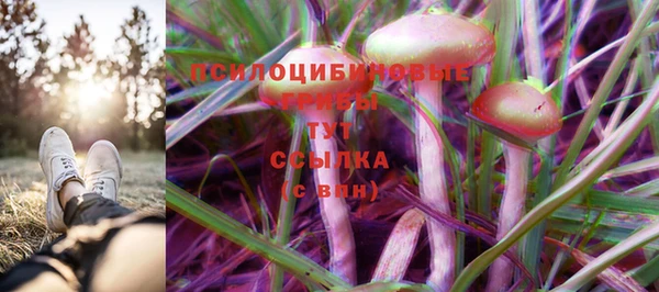 твердый Алексеевка